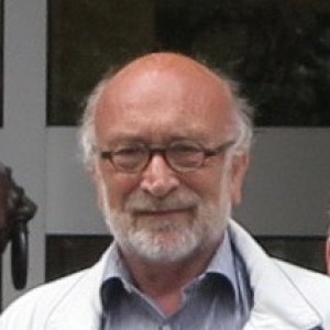 Michel Idsinga